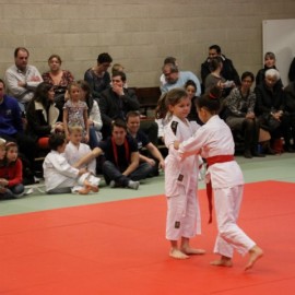 IMG 3102  Small - Judoclub Zaventem 